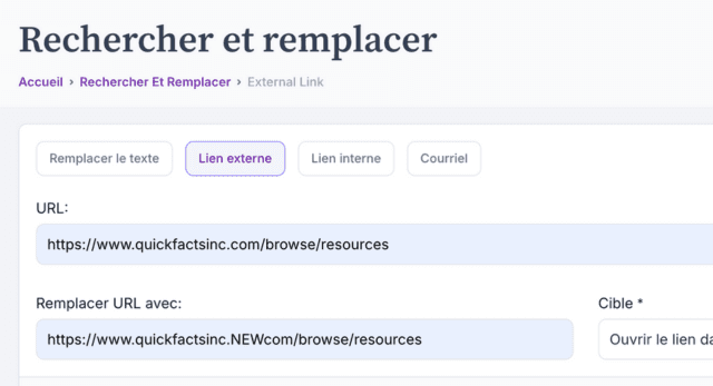 <p><i><span style="font-weight: 400;">Recherche et remplacement global</span></i></p>
